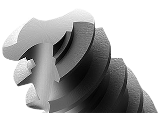 Struct1 Ps (1)